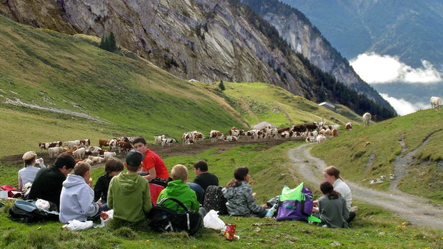 Scolaires : une offre renouvelée… et un festival de courts-métrages !